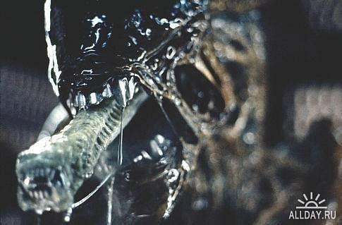 Aliens versus Predator (1999) - Решил сделать Арт-галерею